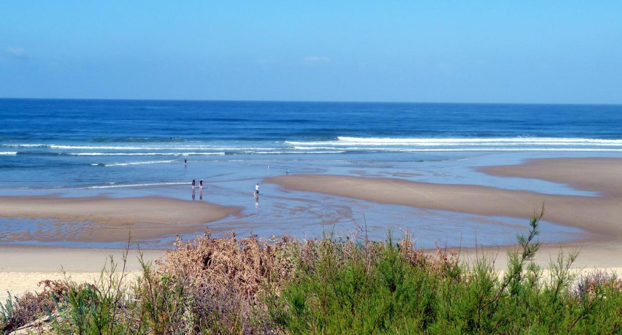 Logis Hotel De France Mimizan-Plage Zewnętrze zdjęcie